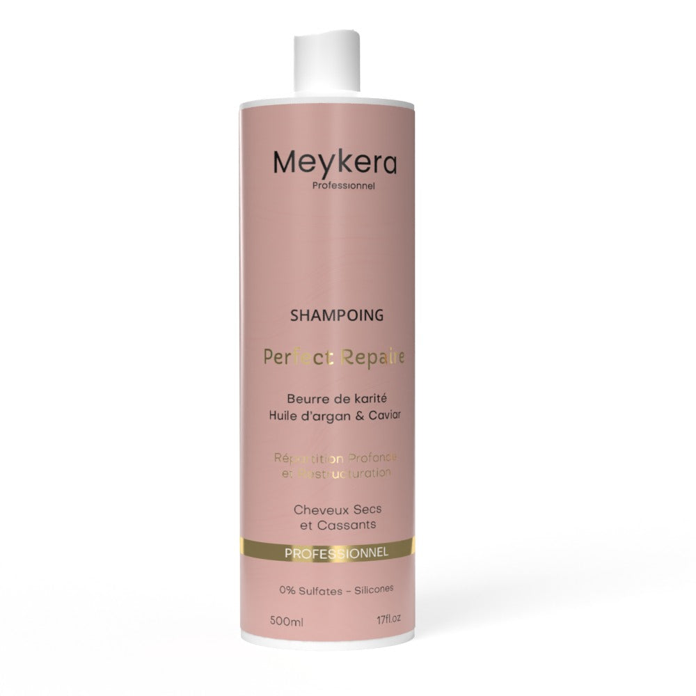 Shampoing Perfect Repaire